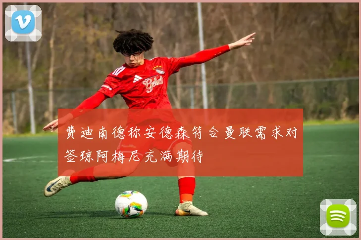 费迪南德称安德森符合曼联需求对签琼阿梅尼充满期待