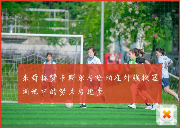 米奇称赞卡斯尔与哈珀在外线投篮训练中的努力与进步